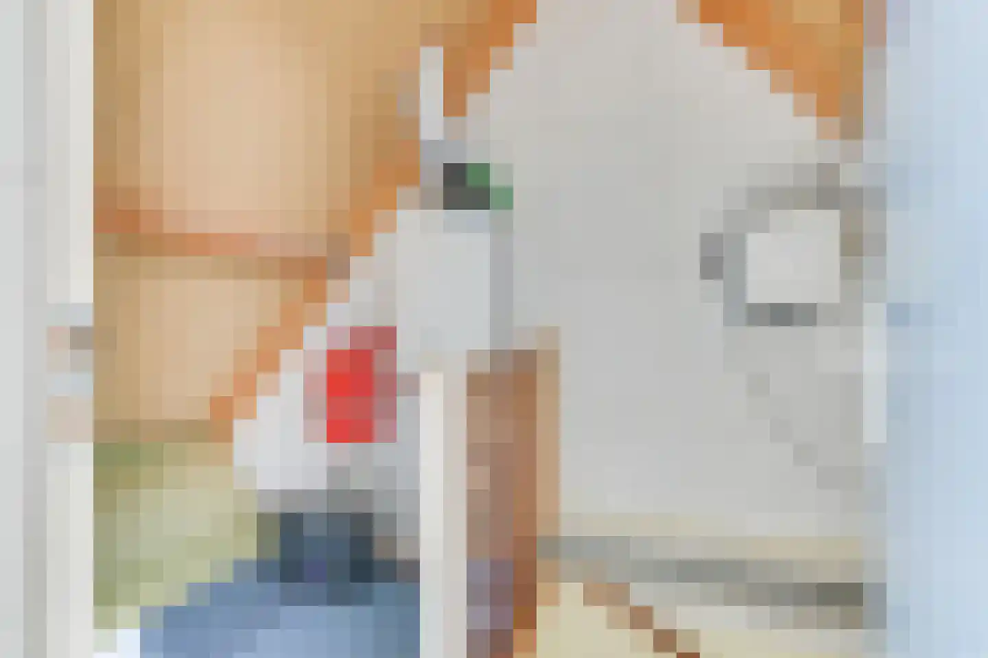 De Negen Geerzen 5 Warmenhuizen thumbnail 50