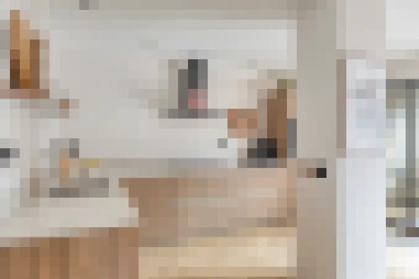 De Negen Geerzen 9 Warmenhuizen thumbnail 11