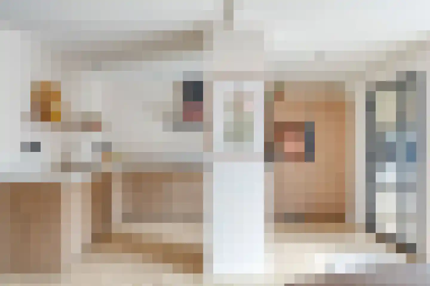 De Negen Geerzen 9 Warmenhuizen thumbnail 12