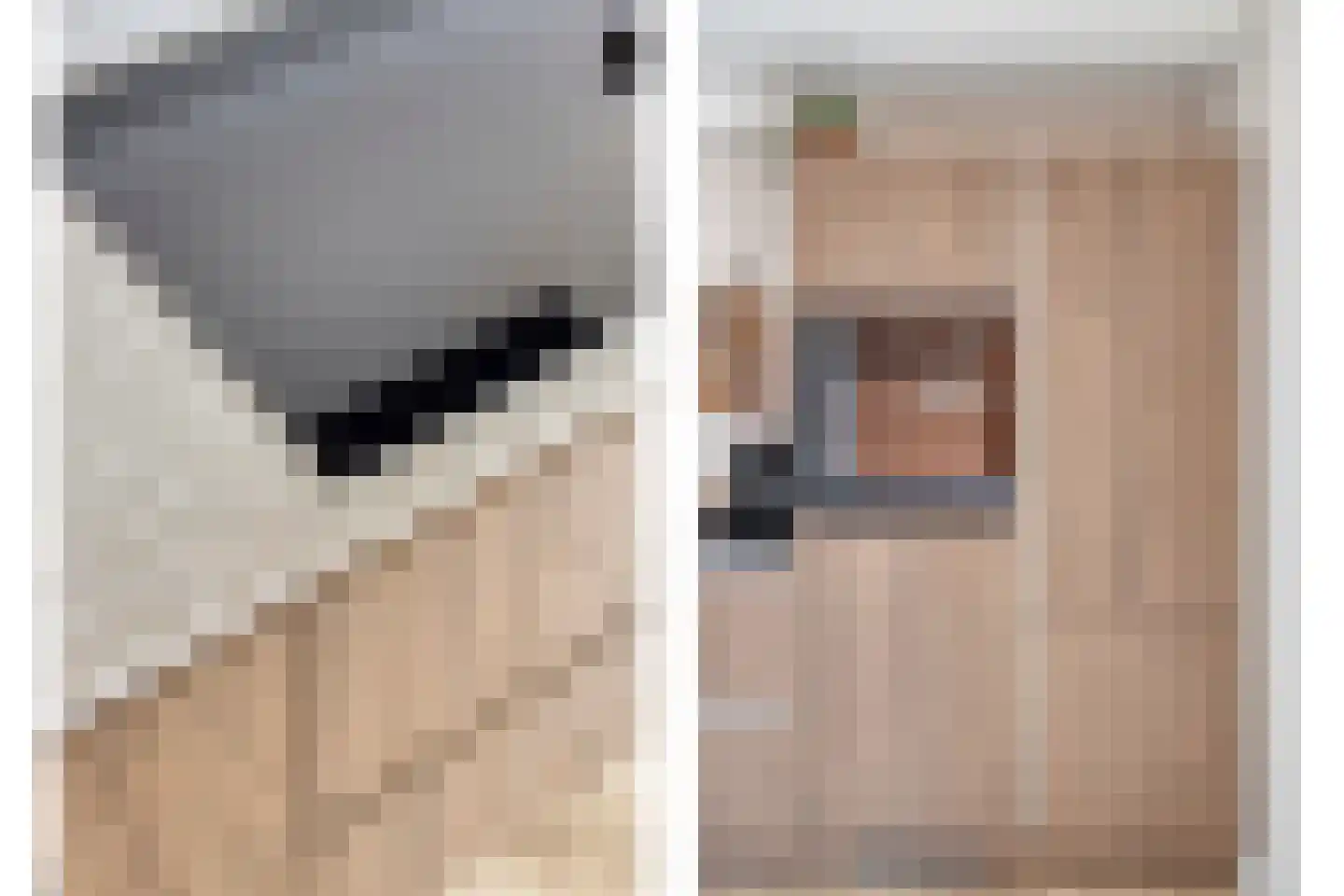 De Negen Geerzen 9 Warmenhuizen thumbnail 13