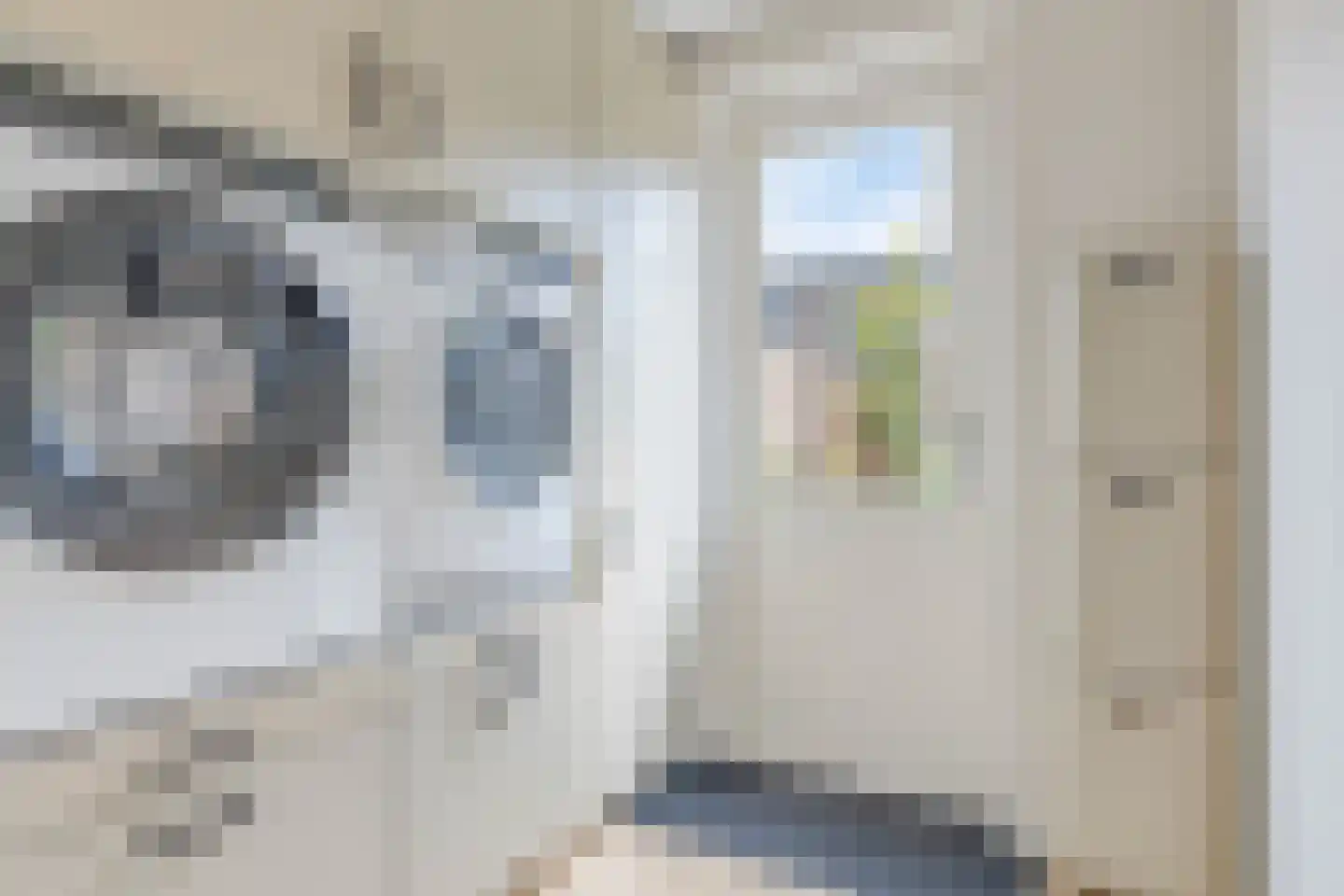 De Negen Geerzen 9 Warmenhuizen thumbnail 18