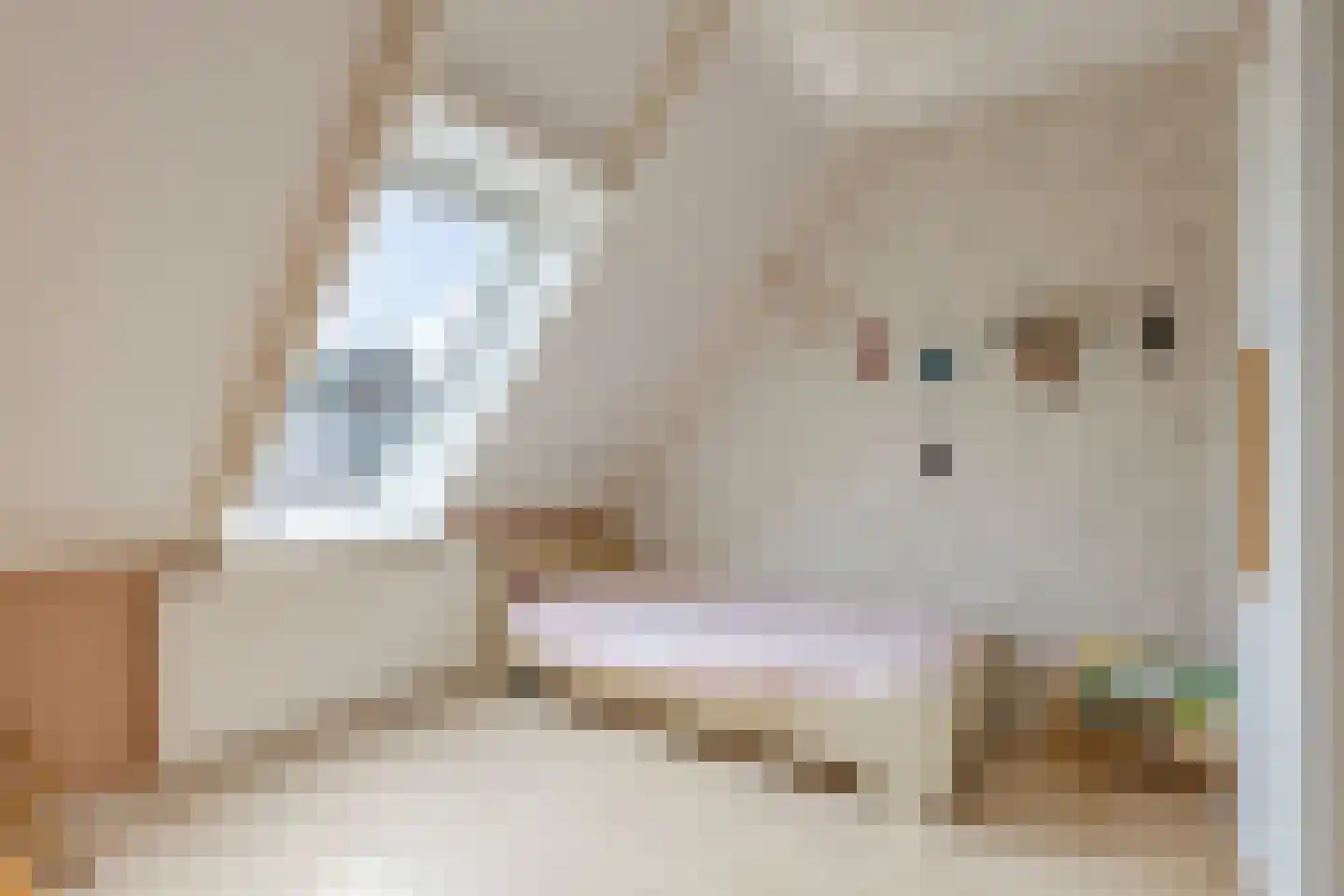 De Negen Geerzen 9 Warmenhuizen thumbnail 24
