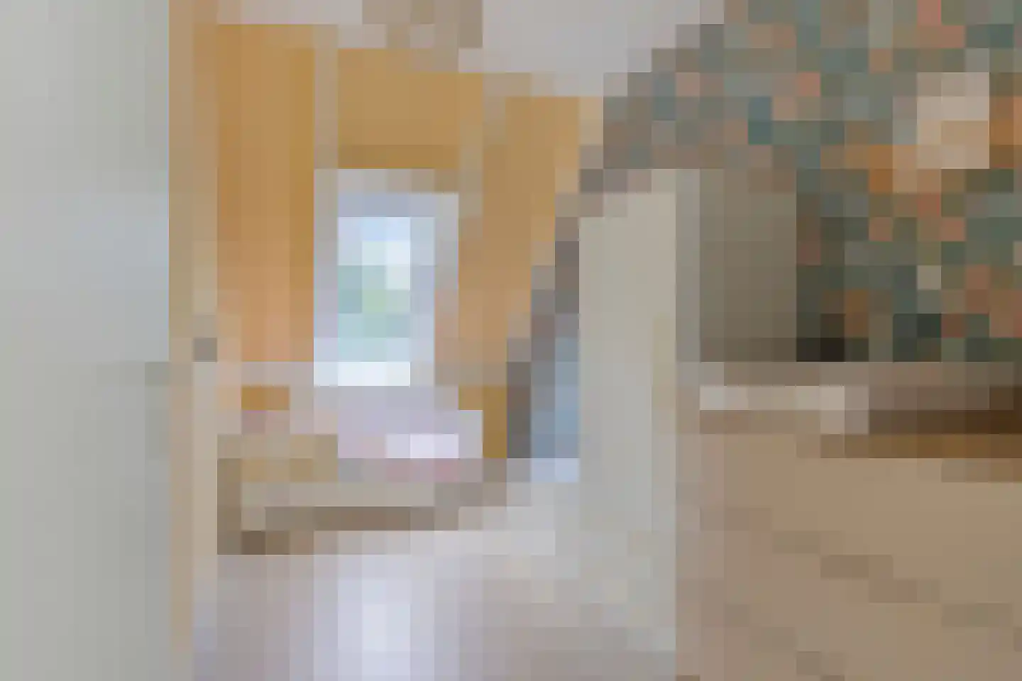 De Negen Geerzen 9 Warmenhuizen thumbnail 26