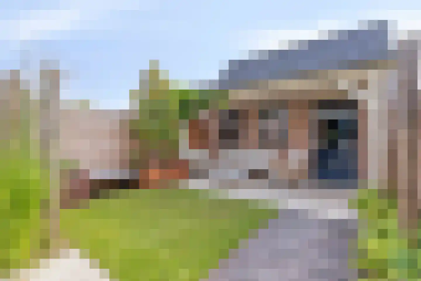 De Negen Geerzen 9 Warmenhuizen thumbnail 31