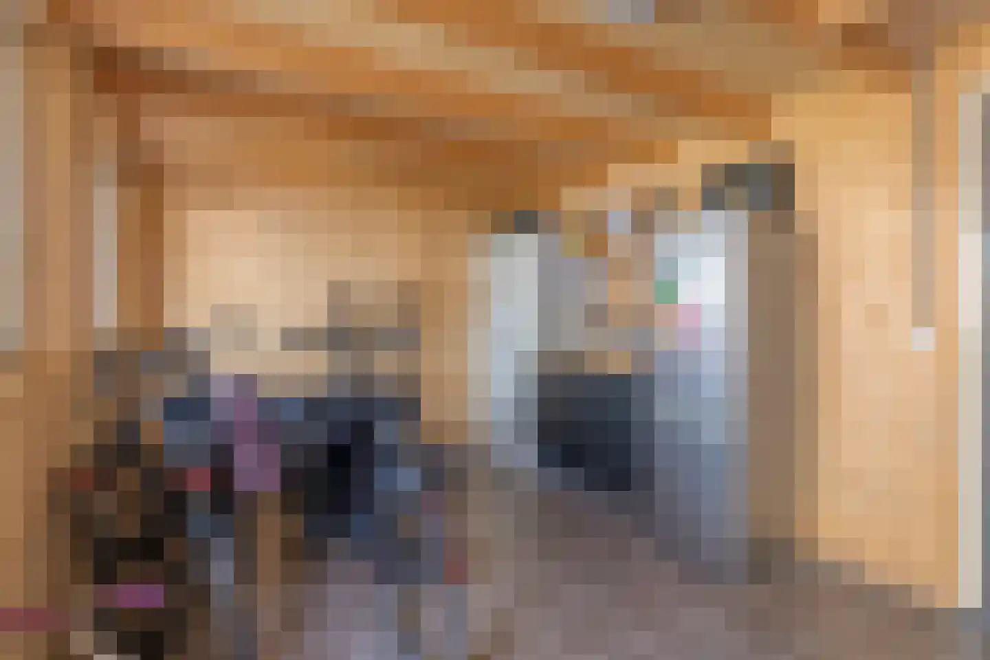 De Negen Geerzen 9 Warmenhuizen thumbnail 32
