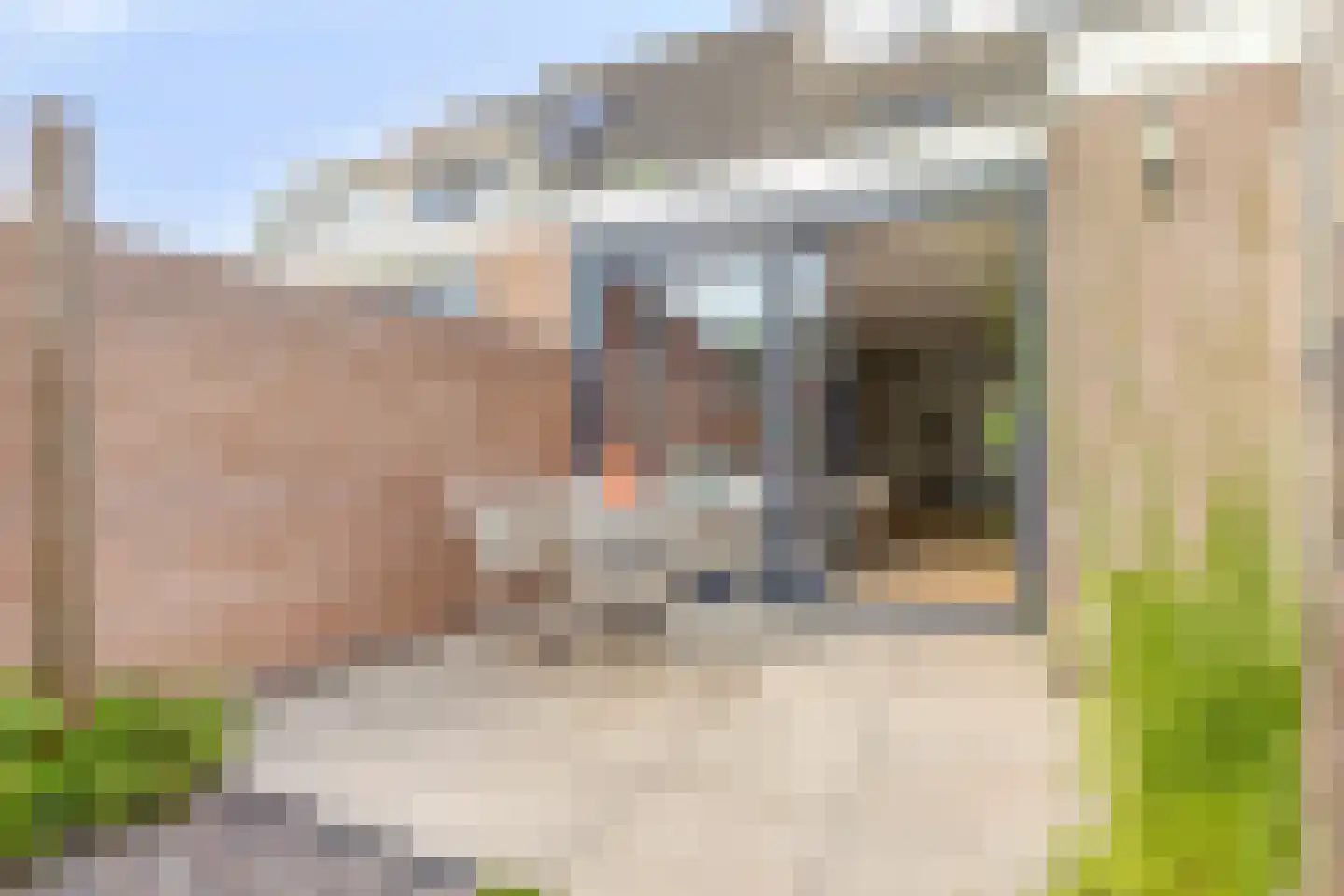 De Negen Geerzen 9 Warmenhuizen thumbnail 34