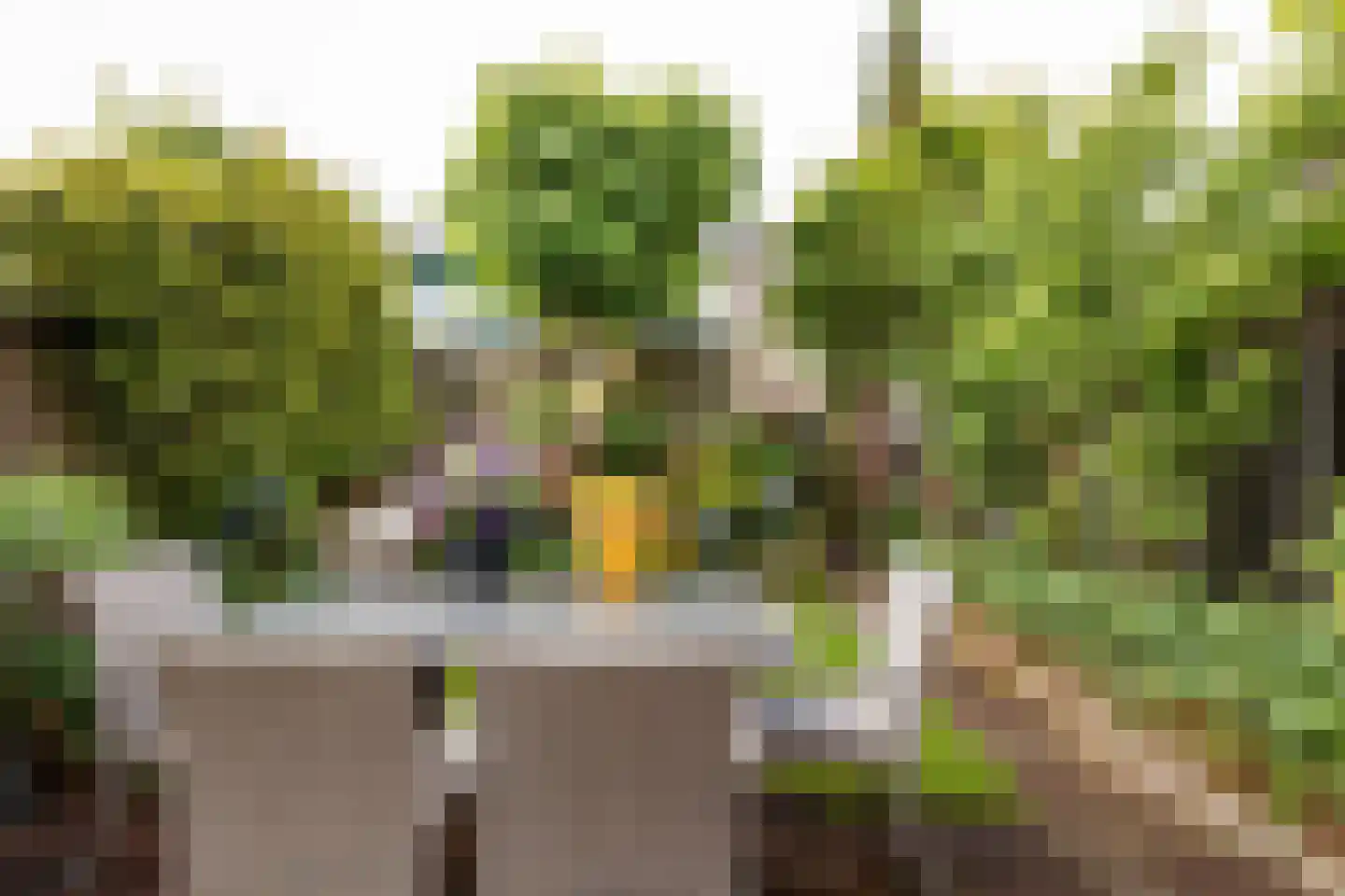 De Nes 13 Vleuten thumbnail 12