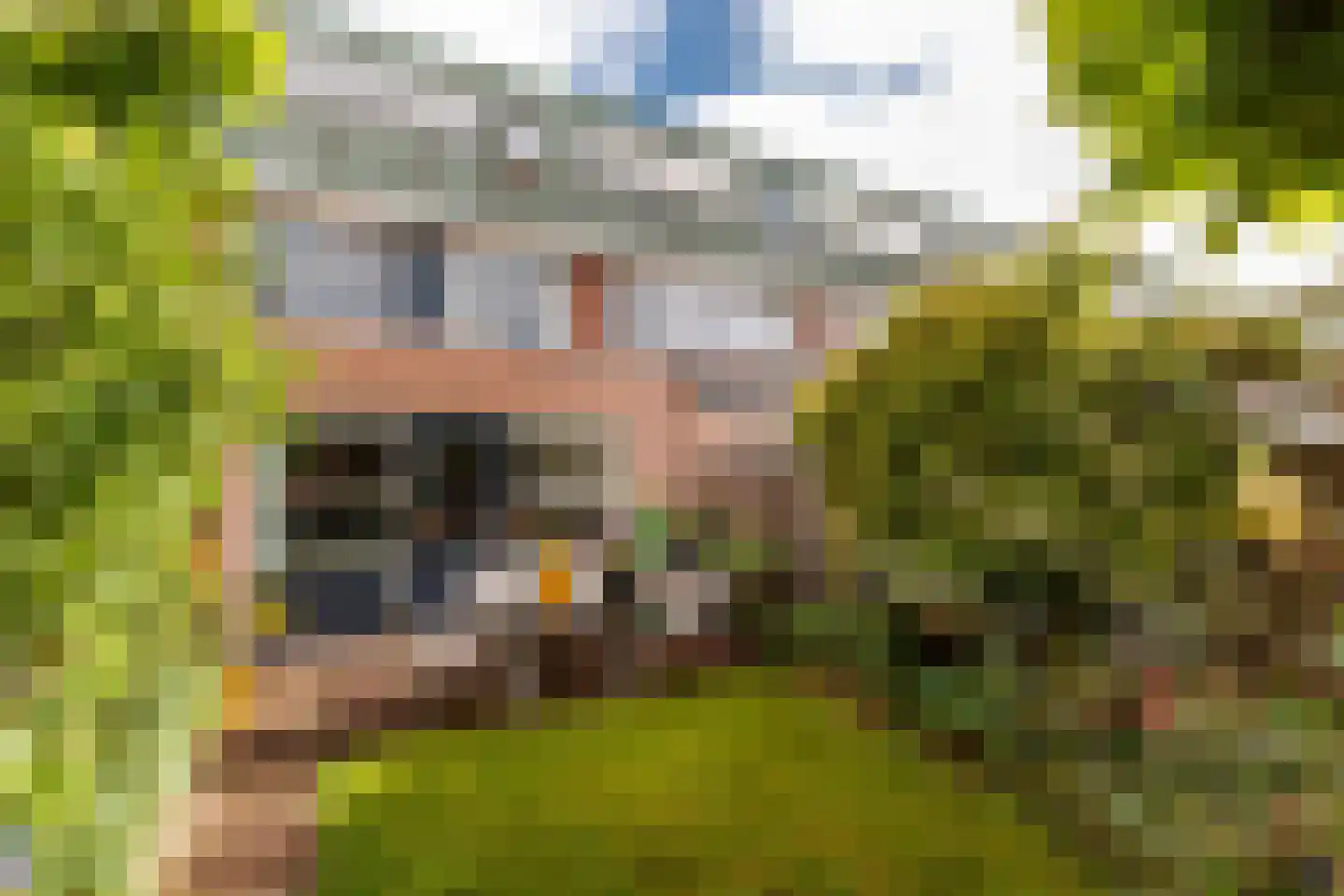 De Nes 13 Vleuten thumbnail 13