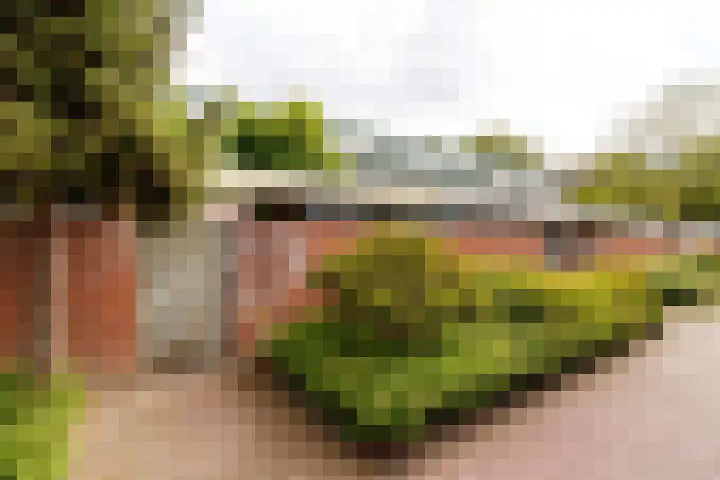 De Nes 13 Vleuten thumbnail 26