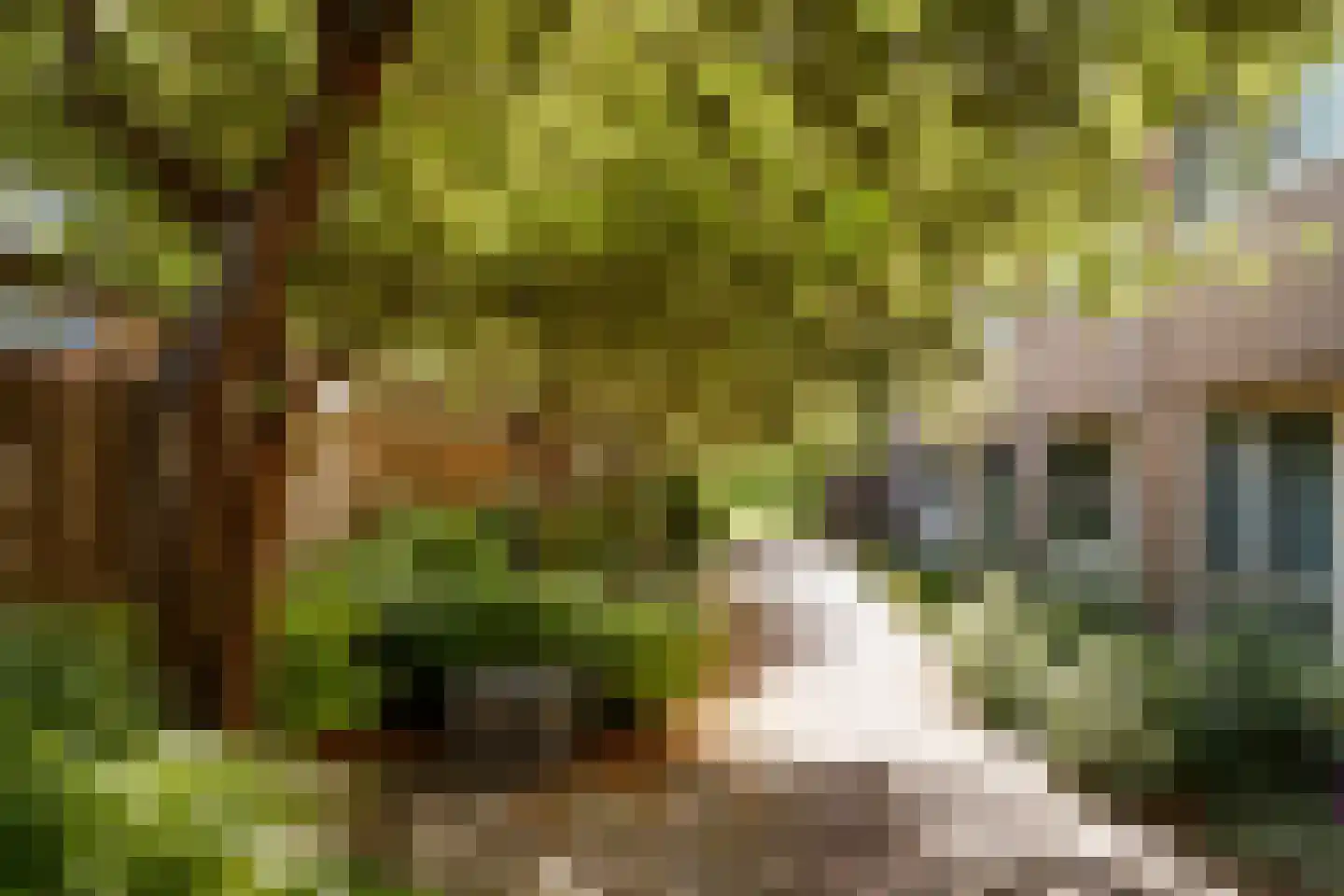 De Nes 13 Vleuten thumbnail 28