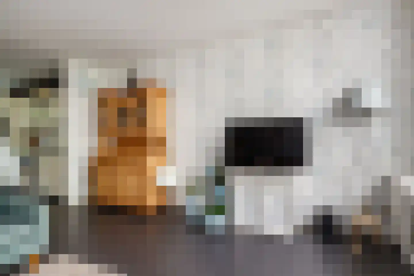 De Nes 13 Vleuten thumbnail 6