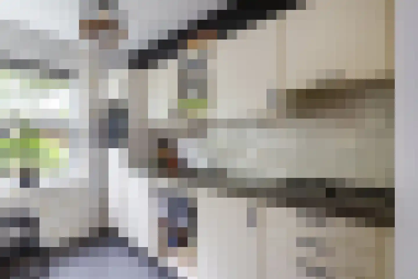 De Nes 13 Vleuten thumbnail 9