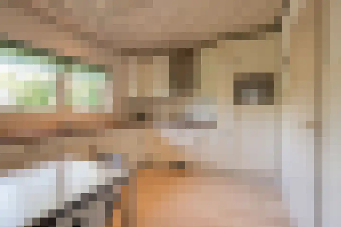 De Nes 14 Tiel thumbnail 14