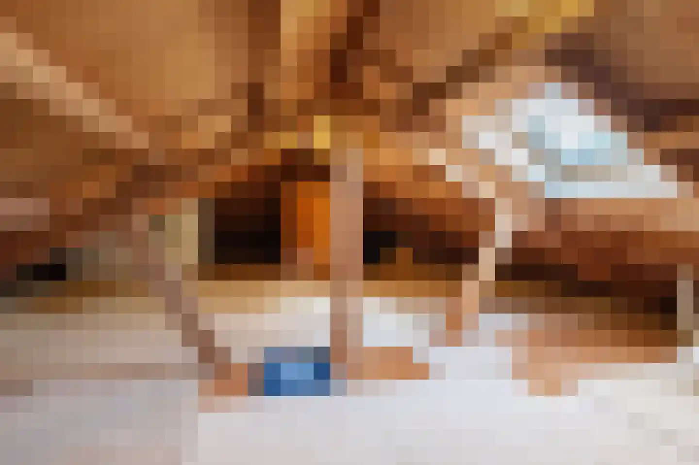 De Nes 14 Tiel thumbnail 28