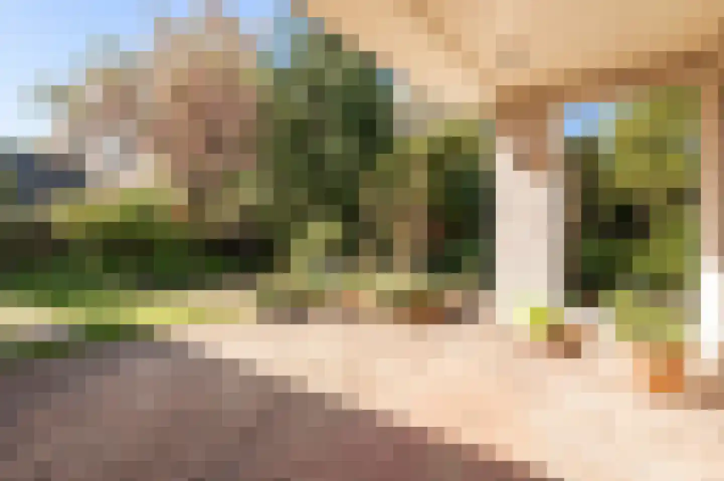 De Nes 14 Tiel thumbnail 38