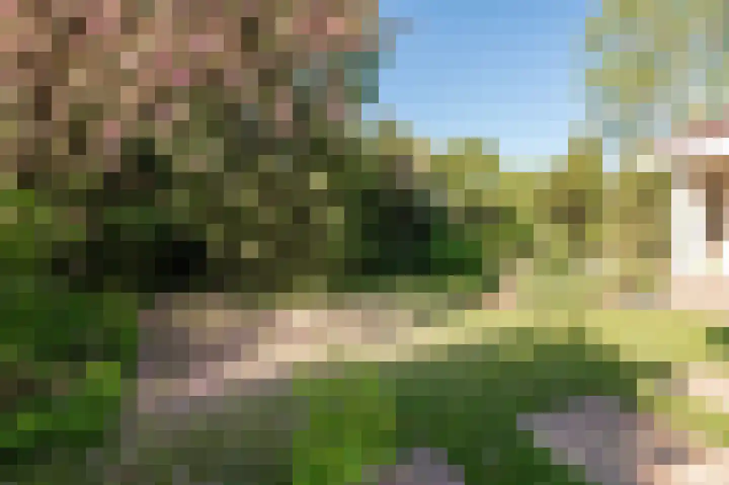 De Nes 14 Tiel thumbnail 40