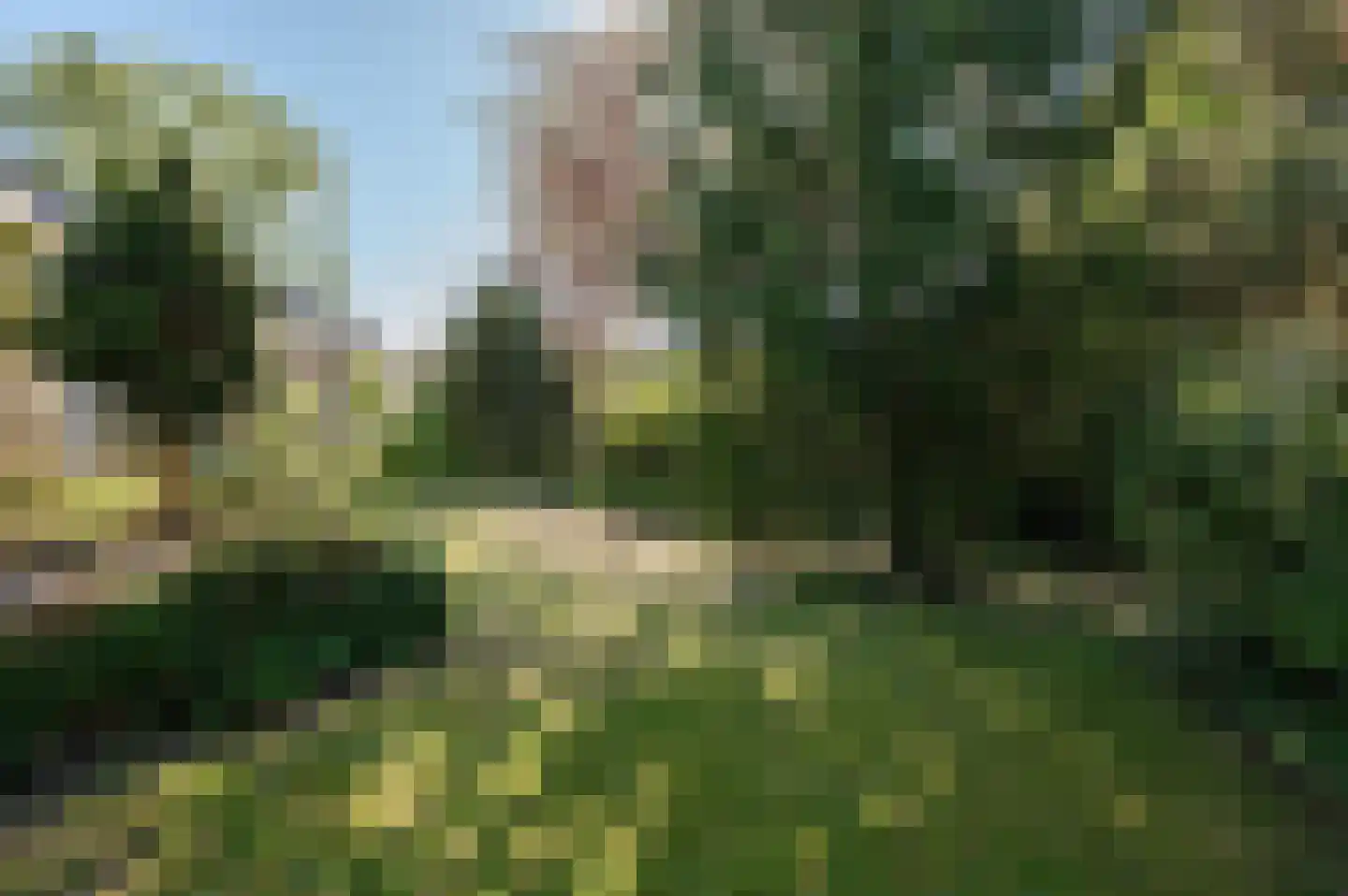 De Nes 14 Tiel thumbnail 41