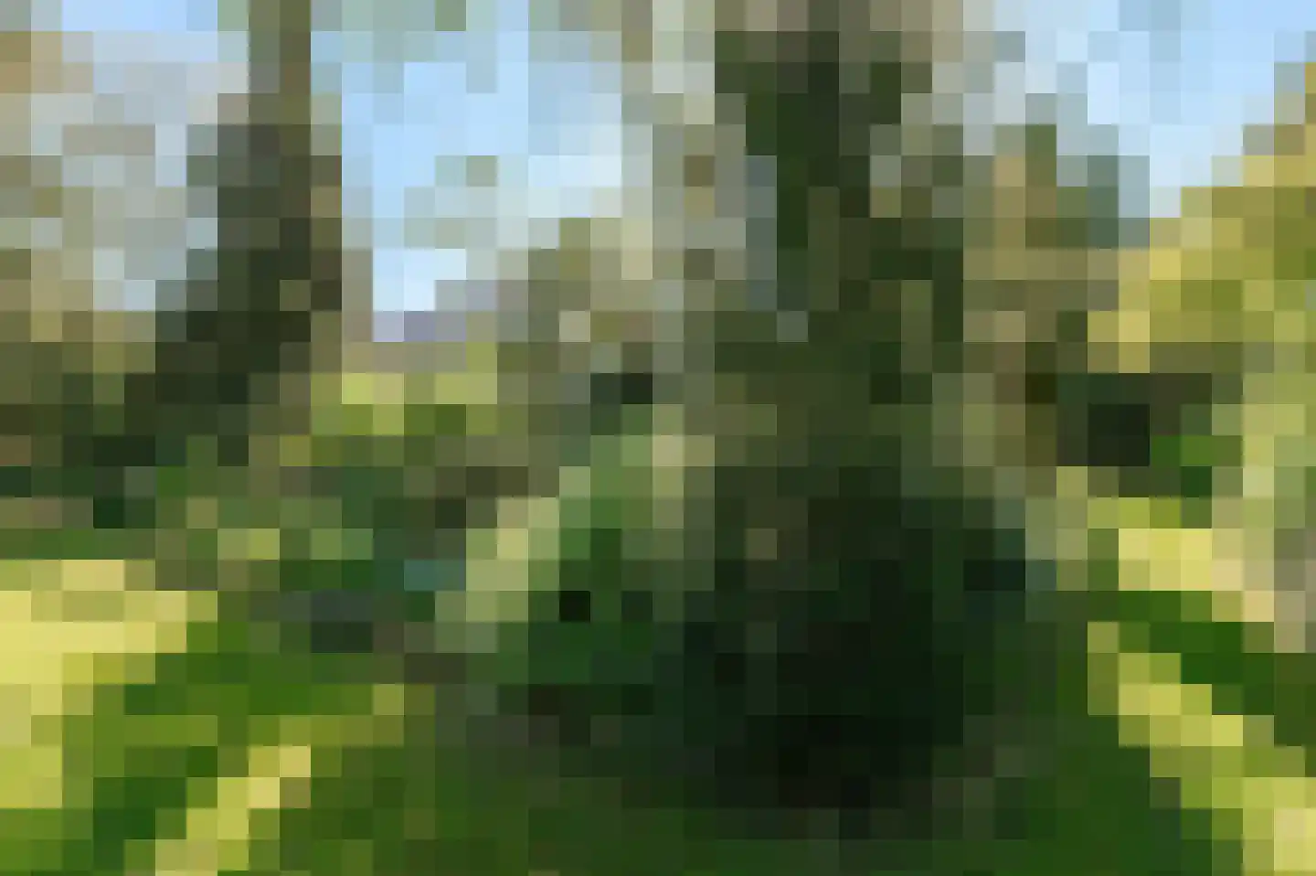 De Nes 14 Tiel thumbnail 42