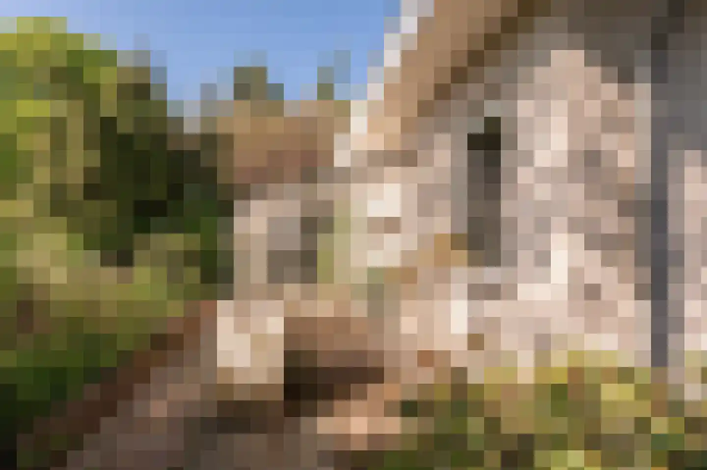 De Nes 14 Tiel thumbnail 43