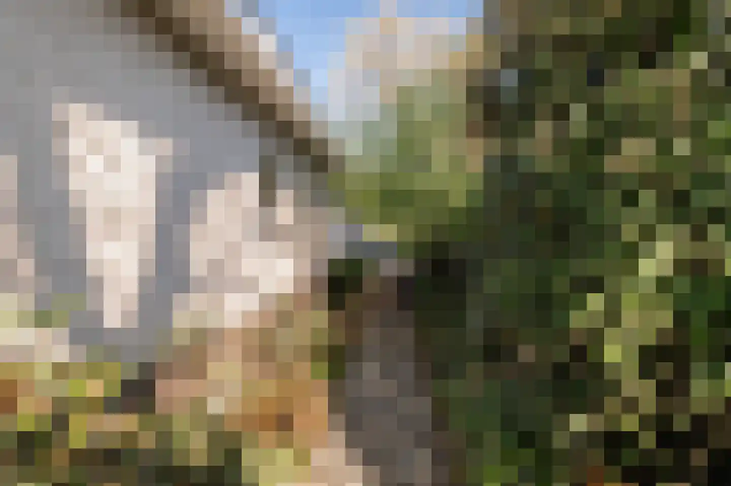 De Nes 14 Tiel thumbnail 44