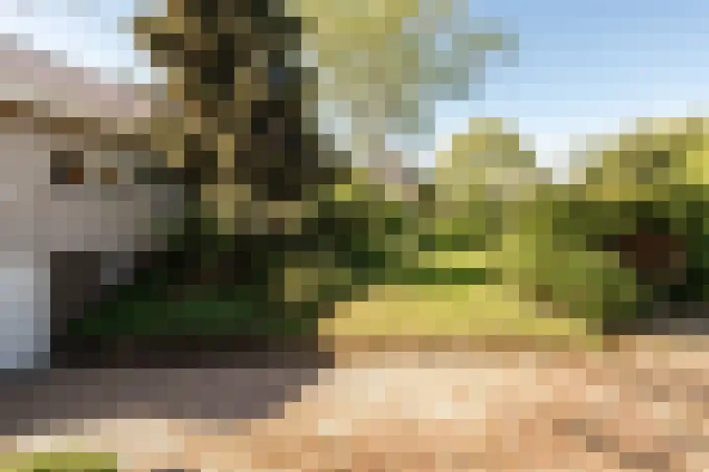 De Nes 14 Tiel thumbnail 45
