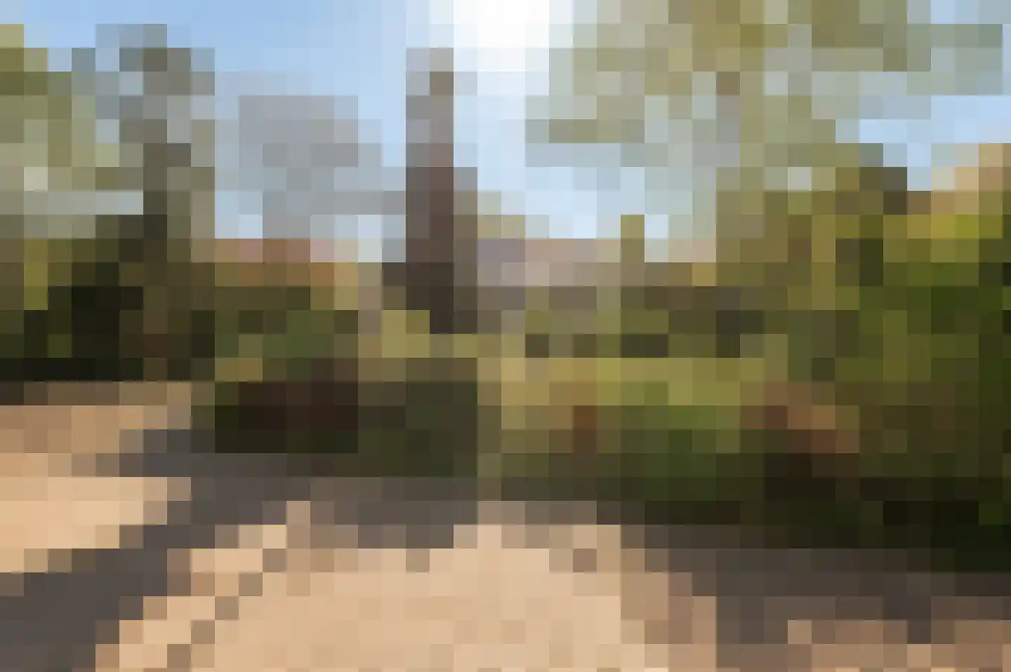 De Nes 14 Tiel thumbnail 46