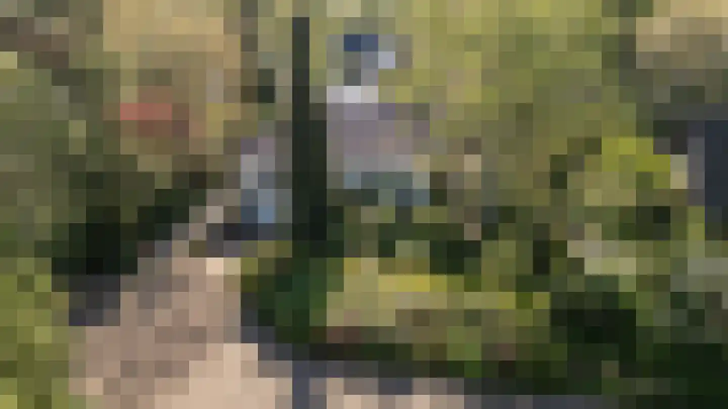 De Nes 14 Tiel thumbnail 49