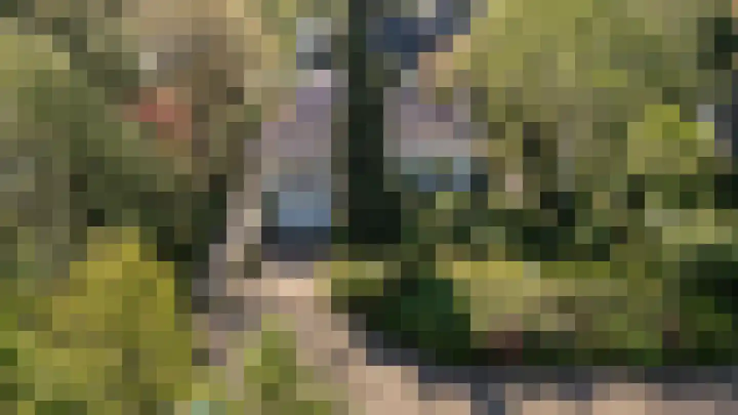 De Nes 14 Tiel thumbnail 5