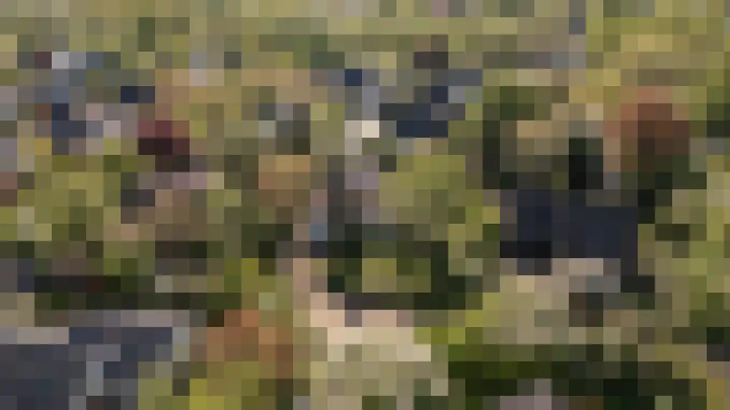 De Nes 14 Tiel thumbnail 50