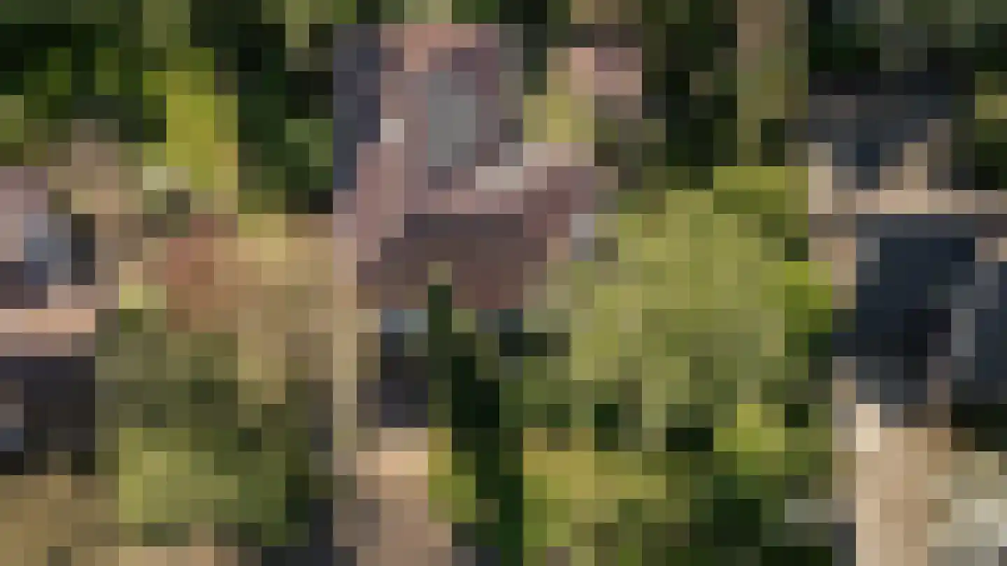 De Nes 14 Tiel thumbnail 51