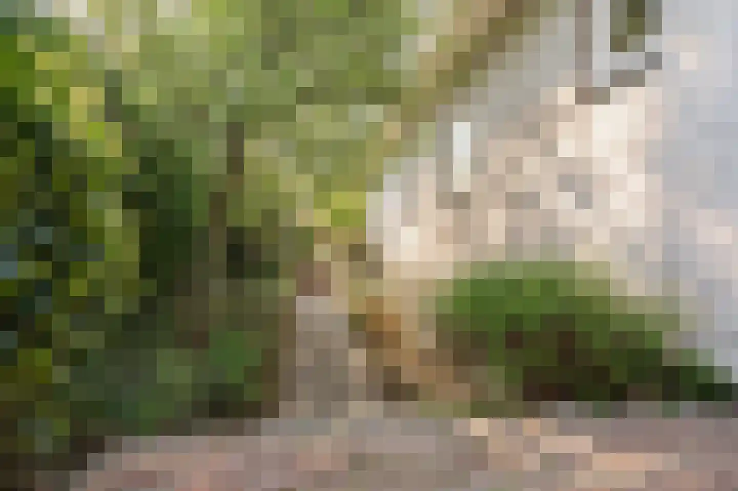 De Nes 14 Tiel thumbnail 6