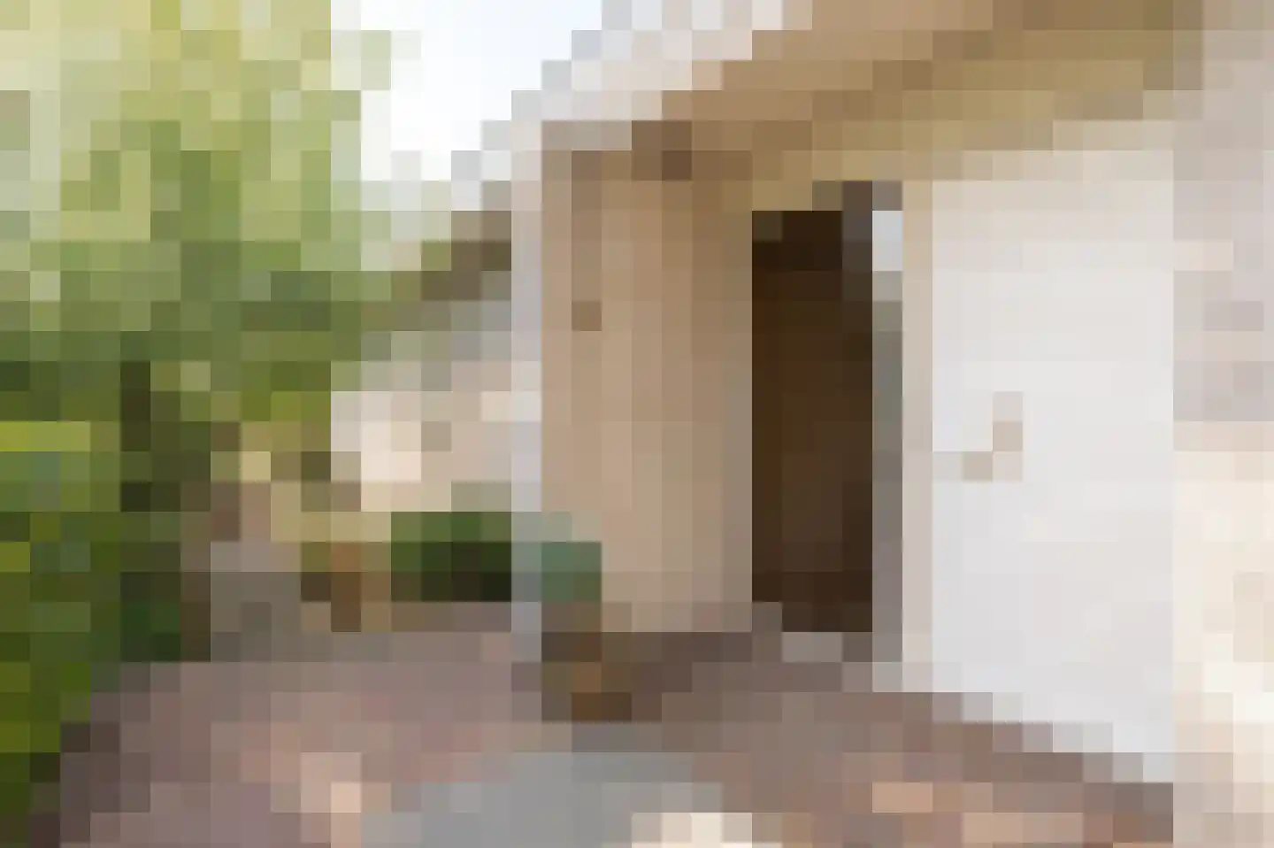 De Nes 14 Tiel thumbnail 7