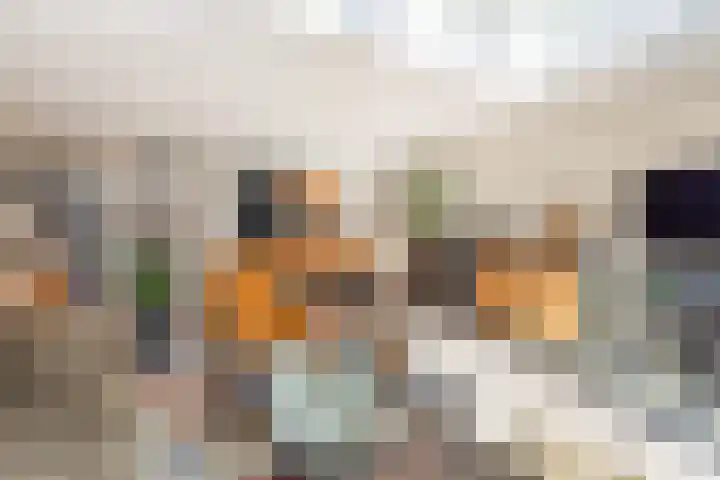 De Nes 14 Vleuten thumbnail 13