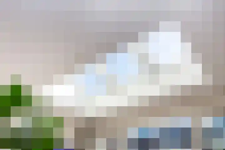 De Nes 14 Vleuten thumbnail 16