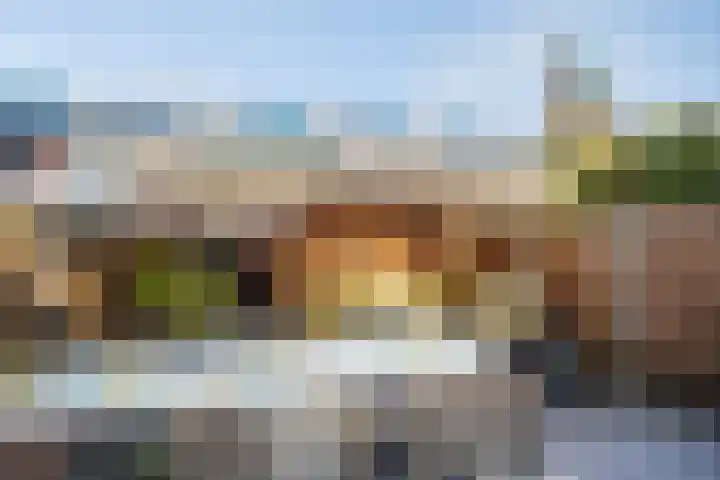 De Nes 14 Vleuten thumbnail 18