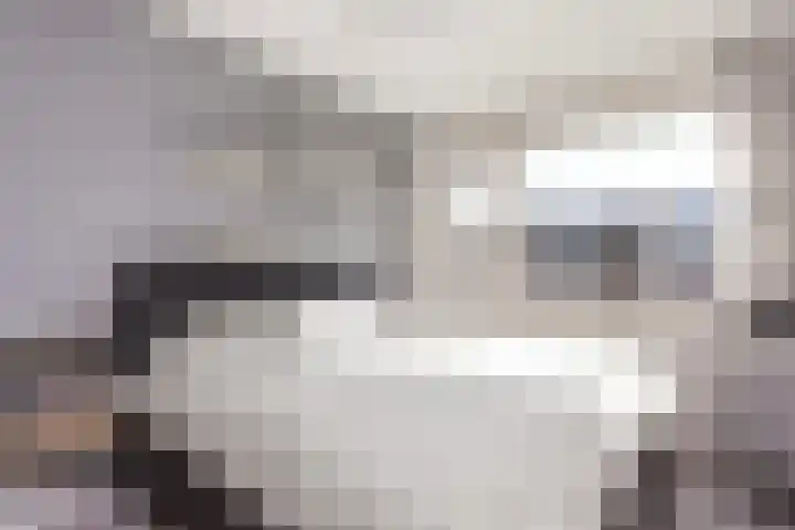 De Nes 14 Vleuten thumbnail 25
