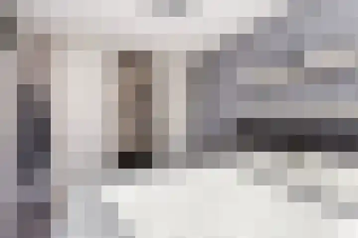 De Nes 14 Vleuten thumbnail 26