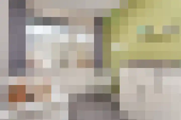 De Nes 14 Vleuten thumbnail 27