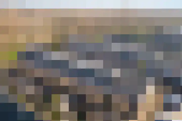 De Nes 14 Vleuten thumbnail 35