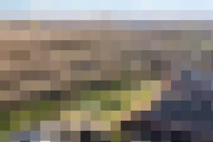 De Nes 14 Vleuten thumbnail 36