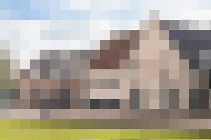 De Nes 14 Vleuten thumbnail 40