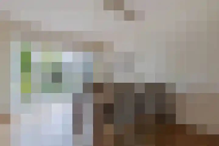 De Nes 7 Bolsward thumbnail 13