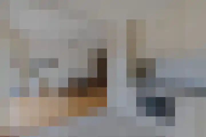 De Nes 7 Bolsward thumbnail 15