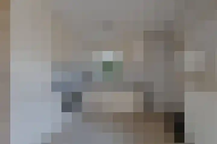 De Nes 7 Bolsward thumbnail 16