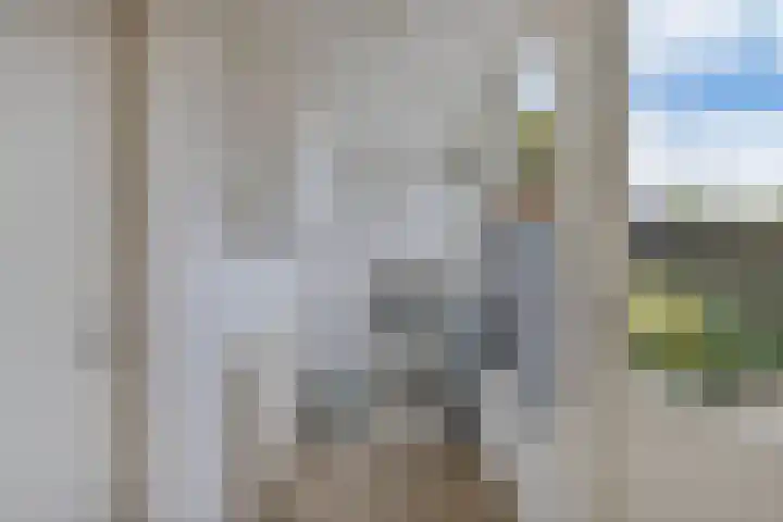 De Nes 7 Bolsward thumbnail 17