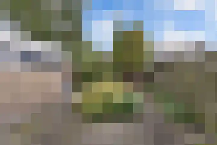 De Nes 7 Bolsward thumbnail 19