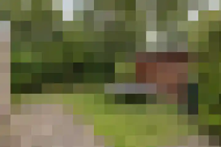 De Nes 7 Bolsward thumbnail 20