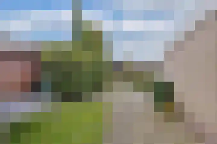 De Nes 7 Bolsward thumbnail 21