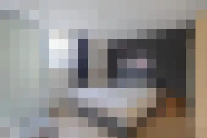 De Nes 7 Bolsward thumbnail 23