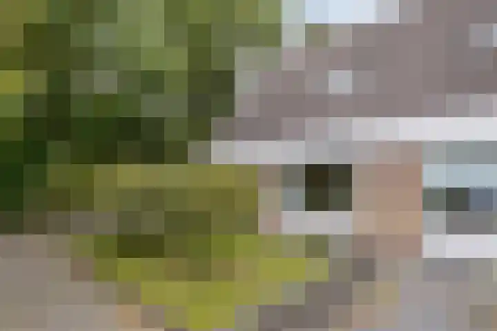 De Nes 7 Bolsward thumbnail 31